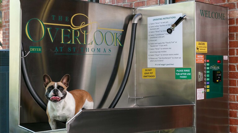 Convenient Pet-Washing Station