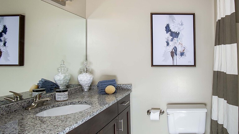 Bathroom with Large Vanity and Granite Countertops